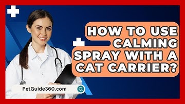 How To Use Calming Spray With A Cat Carrier? - PetGuide360.com