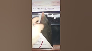 سورة الرحمن بصوت القارئ إسلام صبحي🌸