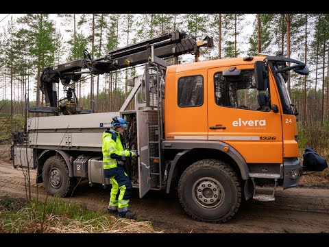 Video: Syötävä kastanja: istutus ja kasvatus