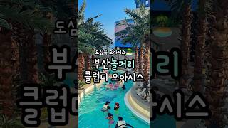 클럽디오아시스 영상