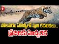 Polavaram District : పోలవరం ఏజెన్సీలో పులి కదలికలు.. ప్రజలకు హెచ్చరిక| 6TV