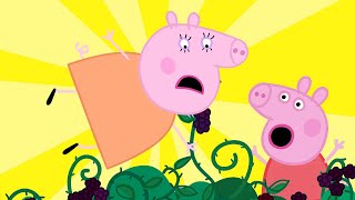 Peppa Pig's International Women's Day Special | Peppa Pig Official Family Kids Cartoon