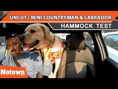 Mini Countryman Labrador Uncut Version Hammock Test Motown