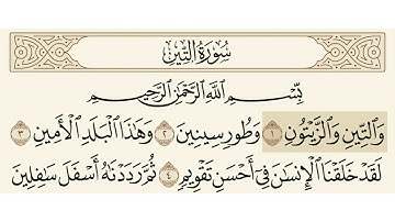 سورة التين الشيخ هزاع البلوشي