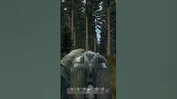 Average Dayz Experience