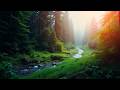 Deep Brain Work Mode  Instrumental Sound