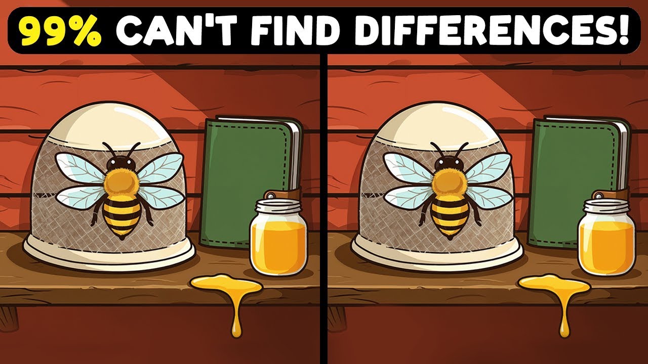 🧠🧐 Find the Differences | Brain Test 《Challenge Your Mind》