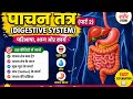 Anatomy Part 2 Full Explanation | Home Science Notes Hindi/english by Savita Soni | Beautiful