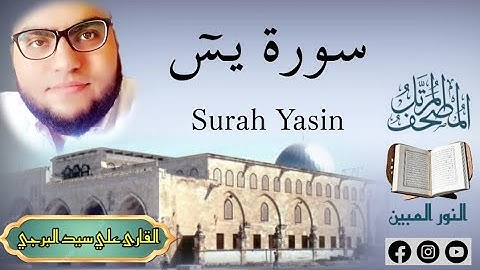 المصحف المرتل | جديد سورة يس مكتوبة القارئ علي سيد البرجي ١٤٤٦ هجرية Surah Yasin