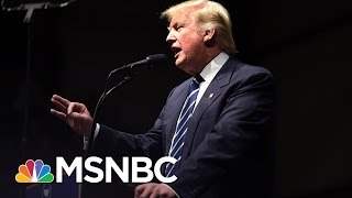 Donald Trump's Top Fights For First 100 Days In White House | Morning Joe | MSNBC