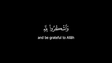 كروما قرآن كريم - الشيخ: ياسر الدوسري- سورة البقرة ( الآيات 170 - 176 ) #كرومات_قرآن