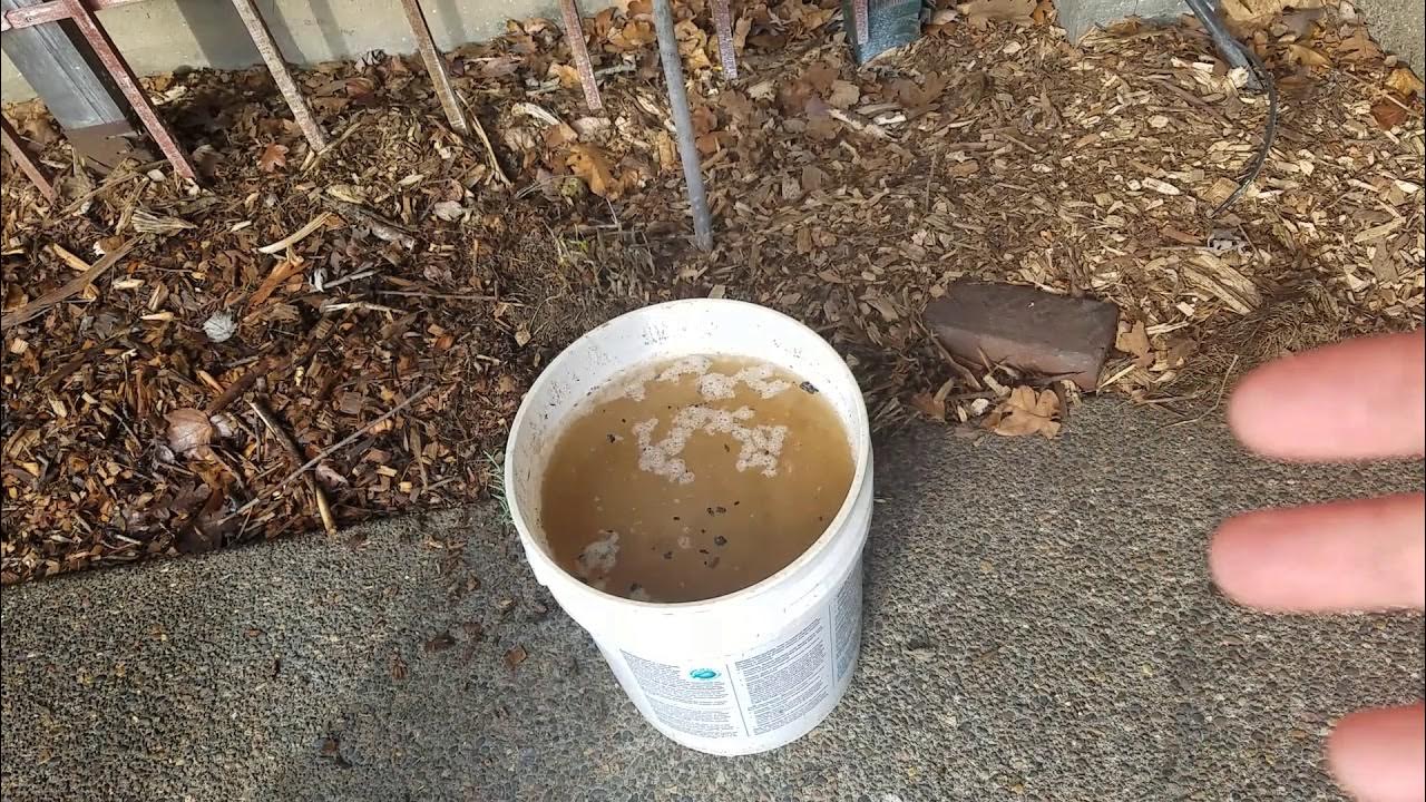 How to Make Potash aka Caustic Potash (potassium hydroxide) from Wood