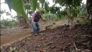 lowar byasa bl bkin bajang kewalan