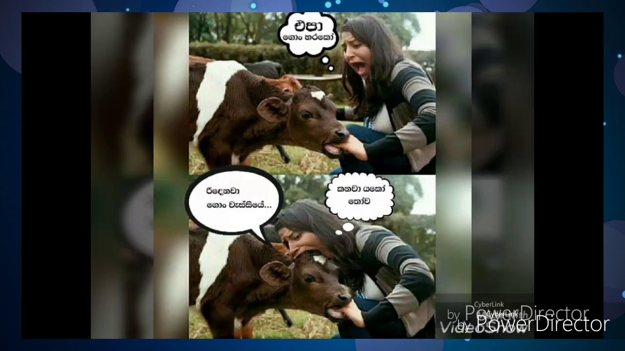 Bukiye Rasa Katha Funny Fb Memes Episode 43 By Gossip Chamiya