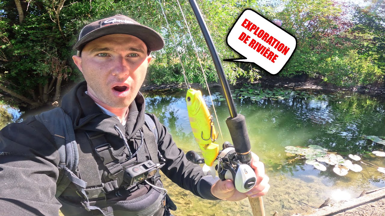 Cette mini rivière cache-t-elle des poissons ?