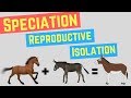 Speciation | Prezygotic vs Postzygoic Barriers | Forms of Reproductive Isolation