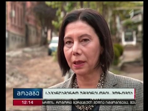 საპარლამენტო უმცირესობას წინასაარჩევნო კამპანიის დაწყების თარიღთან დაკავშირებით პრეტენზიები არ აქვს