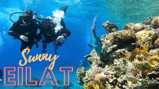 Come visit sunny Eilat