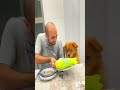 When ASMR + snack time becomes a full-time job. 😂🐶#pet #funny #dog #foryou #asmr #shorts