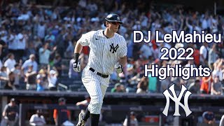 Dj Lemahieu 2022 Highlights