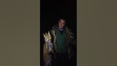 Hunter Eddie and The Best Fox Call SS Caller