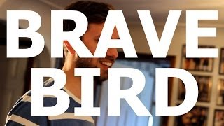 Video thumbnail of "Brave Bird - "Rekindle" Live at Little Elephant (2/3)"