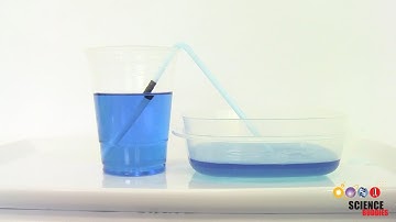 Make a Straw Siphon | STEM Activity