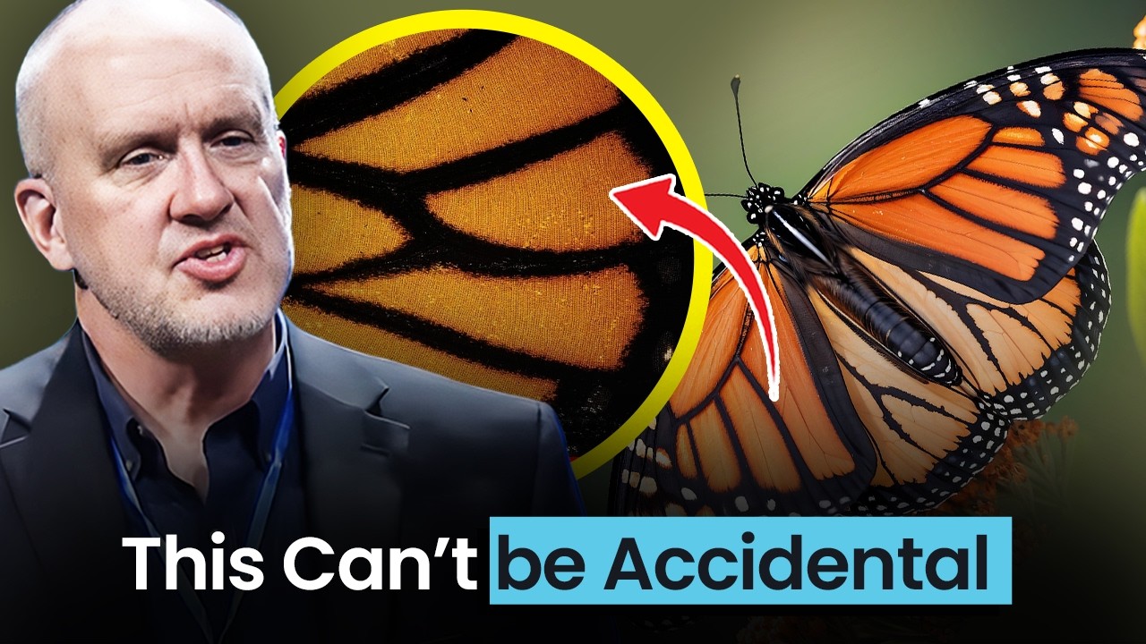 Метаморфоза — это безумие, гораздо более абсурдное, чем вы думаете.