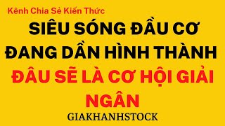 TOP SIÊU SÓNG CỔ PHIẾU ĐẦU CƠ CHO GIAI ĐOẠN TỚI