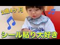 【2歳4ヶ月】シール貼りが大好きな雫ちゃん