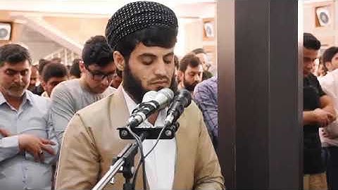 سورة التين للقارئ رعد بن محمد الكردي