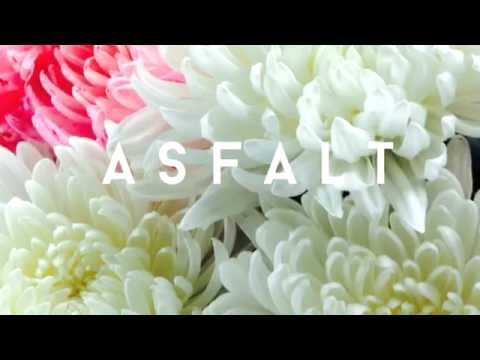 Estradarada - Love Is Асфальт