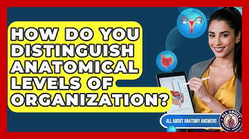 How Do You Distinguish Anatomical Levels Of Organization? - All About Anatomy Answers