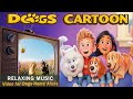 Dog Cartoon: Videos for Dogs with Colors They Can See! Cartoons for Dogs to Watch &amp; Calm Dog Music
