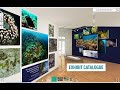 Panaon Island Virtual Gallery Tour 101