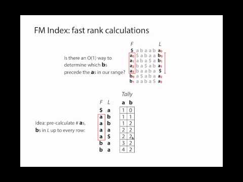 FM Index