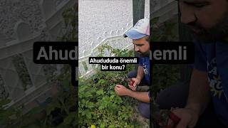 Ahudududa Önemli Bir Konu?Im Çe Ğal