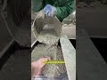 Granito auro usado para hacer estructura con acabado de granito pulido