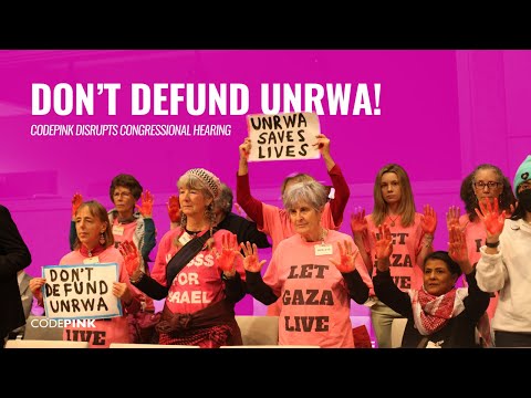 CODEPINK Disrupts House Hearing on Defunding UNRWA
