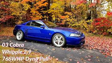 03 SVT Cobra : Terminator Tune Updates & Dyno Pulls - Whippled & Cammed