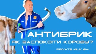 Як заспокоїти корову при доїнні? Антибрик. Використання. Безпека понад усе| Private Milk |Травецький