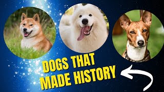 Dog Legends: Unveiling the Timeless Charm of Samoyeds, Basenjis, and Shiba Inus #dogbreeds   #dogs by Dogs in Facts 116 views 9 months ago 6 minutes, 40 seconds