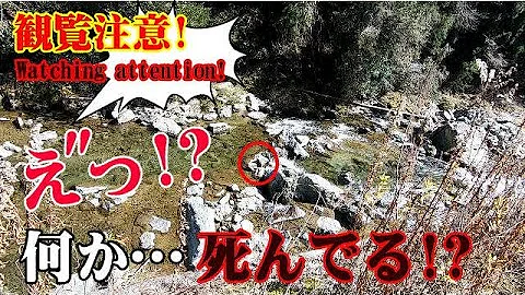 閲覧注意 悲惨な火傷 Mp3