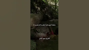 تلاوة رائعة من سورة يس بصوت القارئ سعود الفايز يوم نختم على أفواههم وتكلمنا أيديهم سعود الفايز 