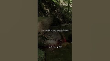 تلاوة رائعة ‏من سورة يسٓ بصوت القارئ سعود الفايز#يوم_نختم_على_أفواههم_وتكلمنا_أيديهم #سعود_الفايز