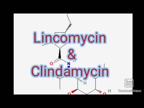 Vidéo: Lincomycine - Mode D'emploi, Description, Avis