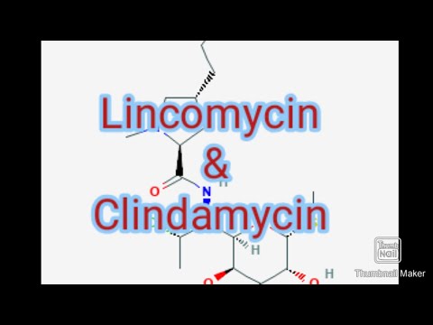 Video: Lincomycin - Instructies Voor Gebruik, Beschrijving, Beoordelingen