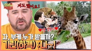 호주에서 핫한 결혼 방식♨ 동물원에서 결혼을 한다?! | 선 넘은 패밀리 30 회