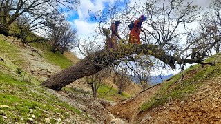 Nomadic daily life fetching water from the spring nomads Iran village iran