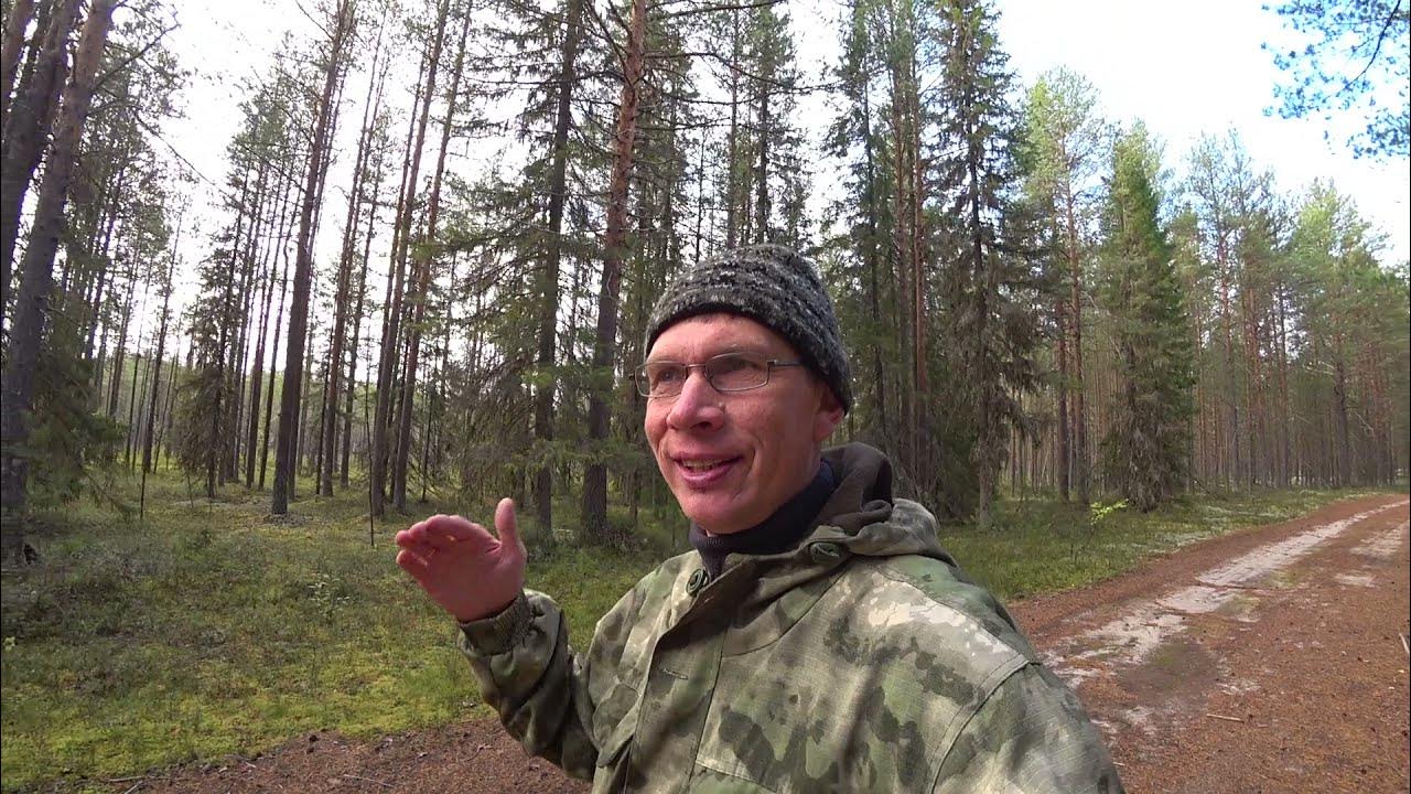 Будни олега на природе в коми. Поход по грязи в тайге. Из деревеньки. Олег из деревни. На природе в коми арсень олег.